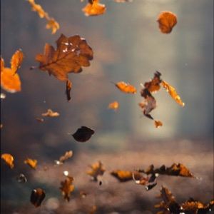 Meet your Posher, Keyla