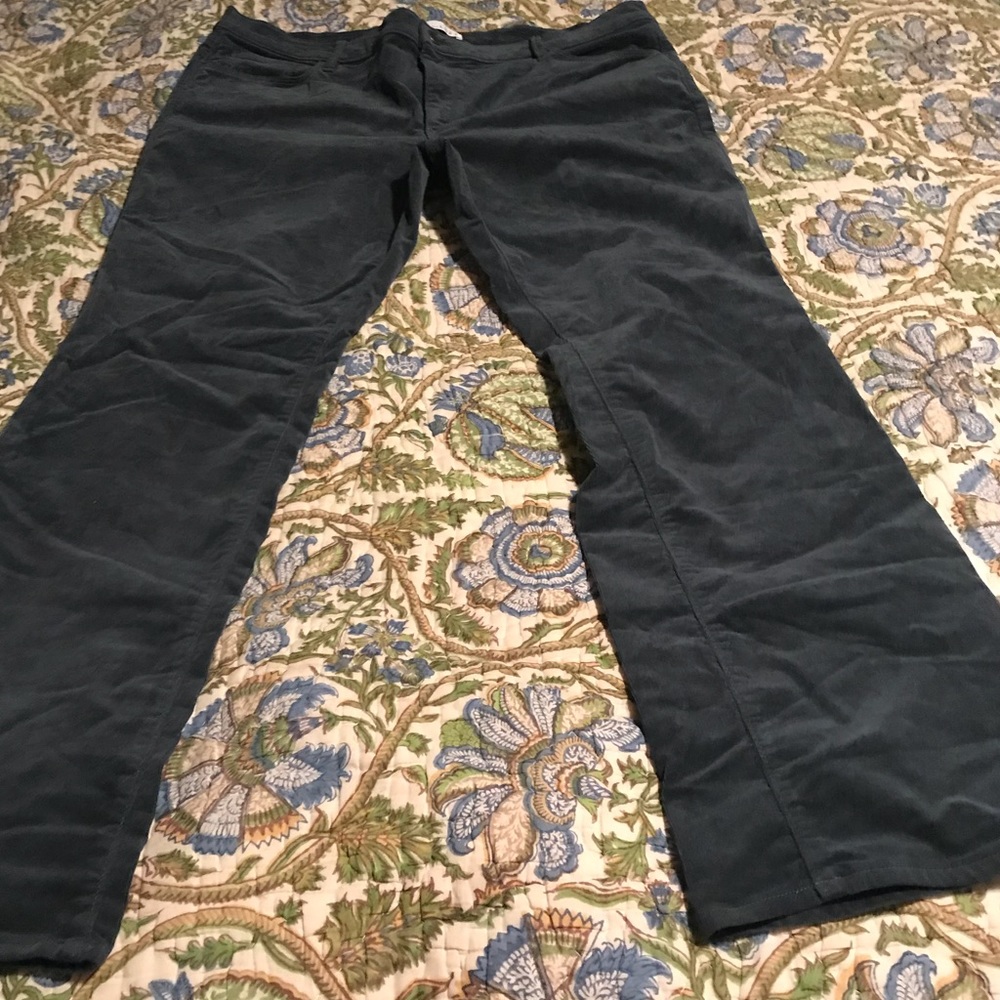 Loft modern  Bootcut corduroy velvety pants 18/34