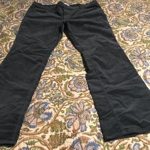 Loft modern  Bootcut corduroy velvety pants 18/34