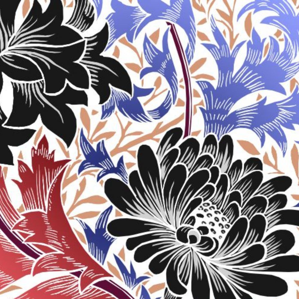 Meet your Posher, Derek m.