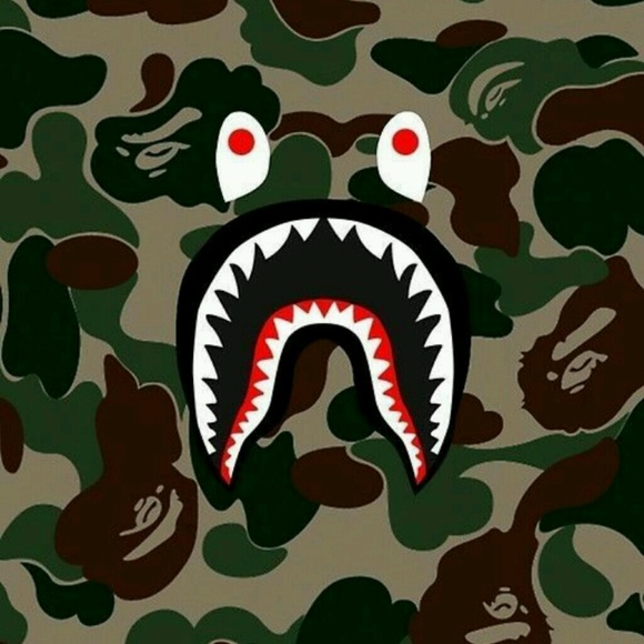 Meet your Posher, David - Picture 1 of 1