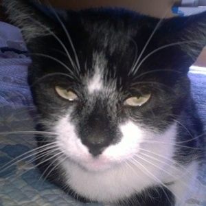 Meet your Posher, Angela