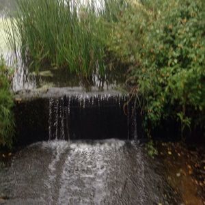 Meet your Posher, Luke