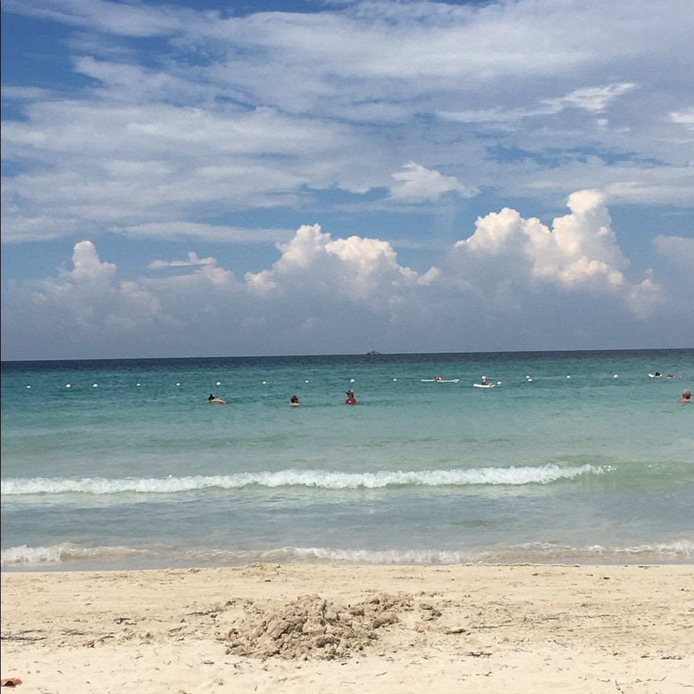 Meet your Posher, Taylor