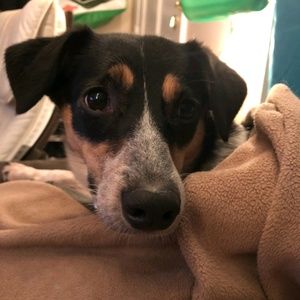 Meet your Posher, Jake