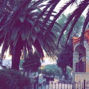 Meet your Posher, Isabella