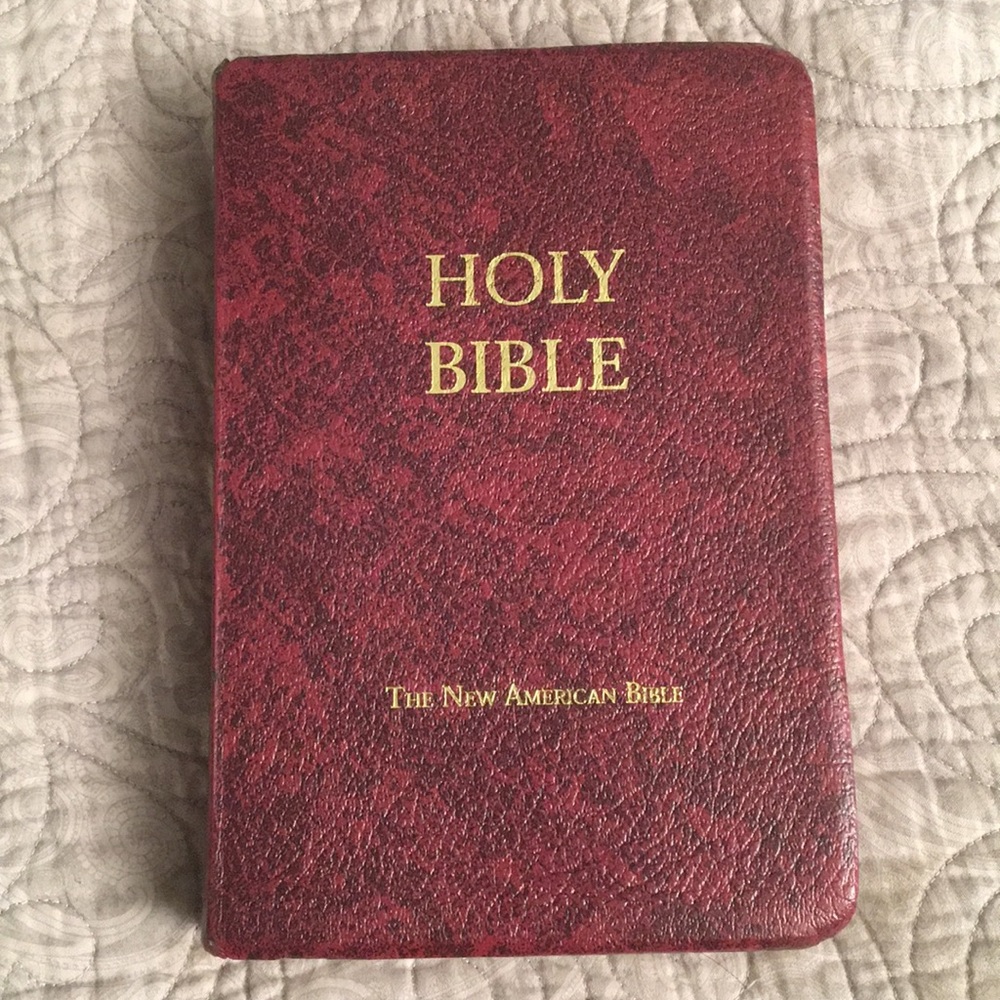 Holy Bible the new American bible