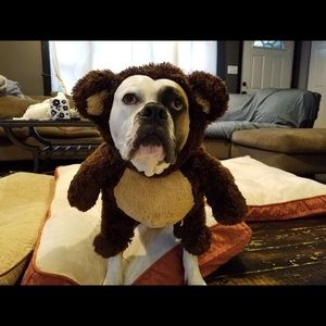 Meet your Posher, Veronica