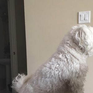 Meet your Posher, Jen