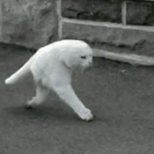 Meet your Posher, Angel