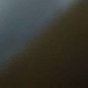 Meet your Posher, Celesta