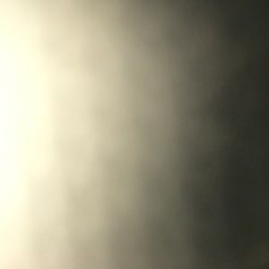 Meet your Posher, Tashiona