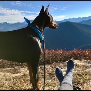 Meet your Posher, Jackie