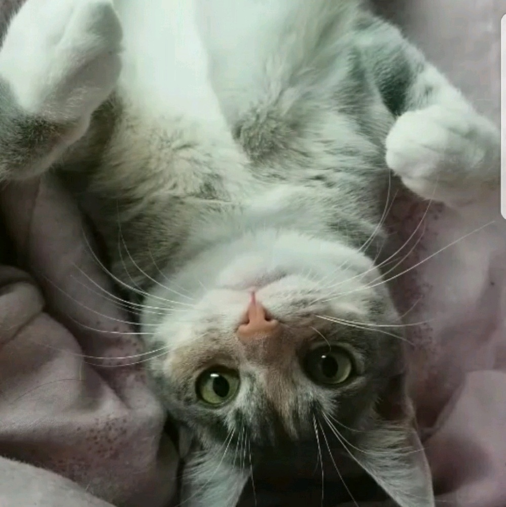 Meet your Posher, Arianna