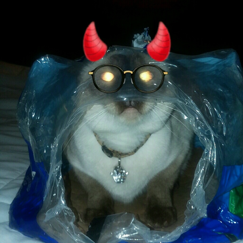 Meet your Posher, Ryan