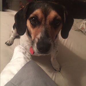 Meet your Posher, William