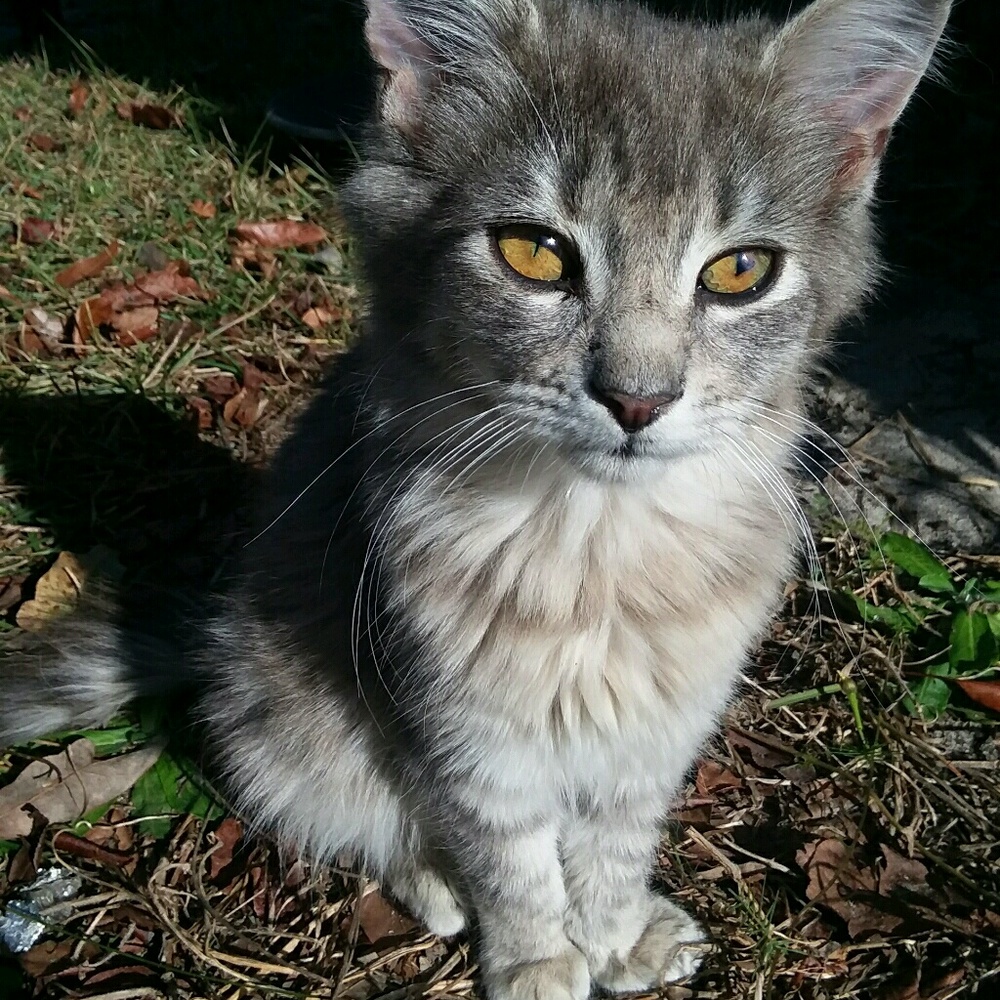 Meet your Posher, Christy