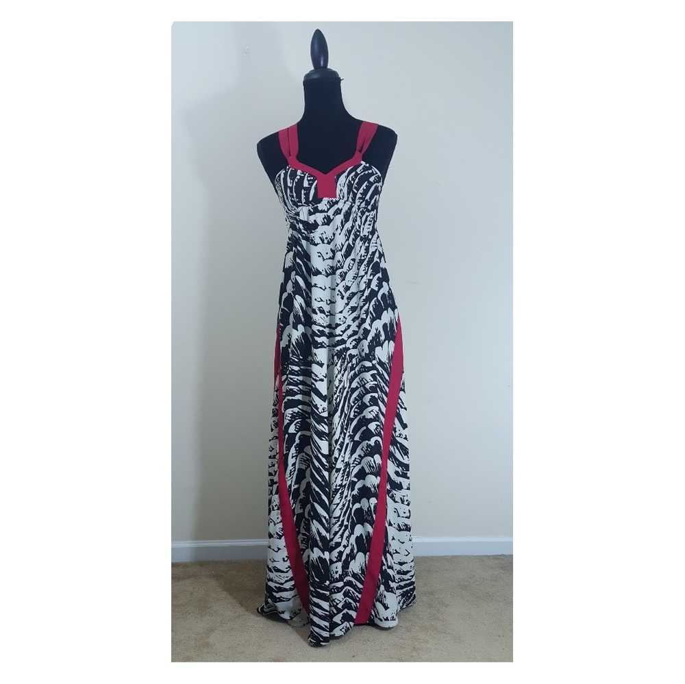 Express Maxi Dress