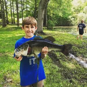 Meet your Posher, Walker