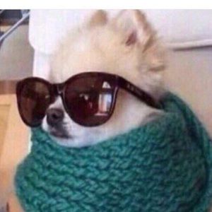 Meet your Posher, Anton