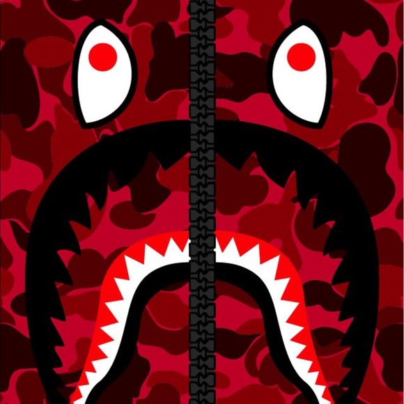 Meet your Posher, Paul - Picture 1 of 1