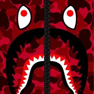 Meet your Posher, Paul