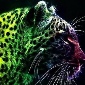 Meet your Posher, Arturo