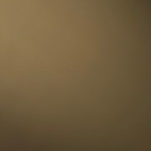 Meet your Posher, Ronald