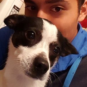 Meet your Posher, Ruben