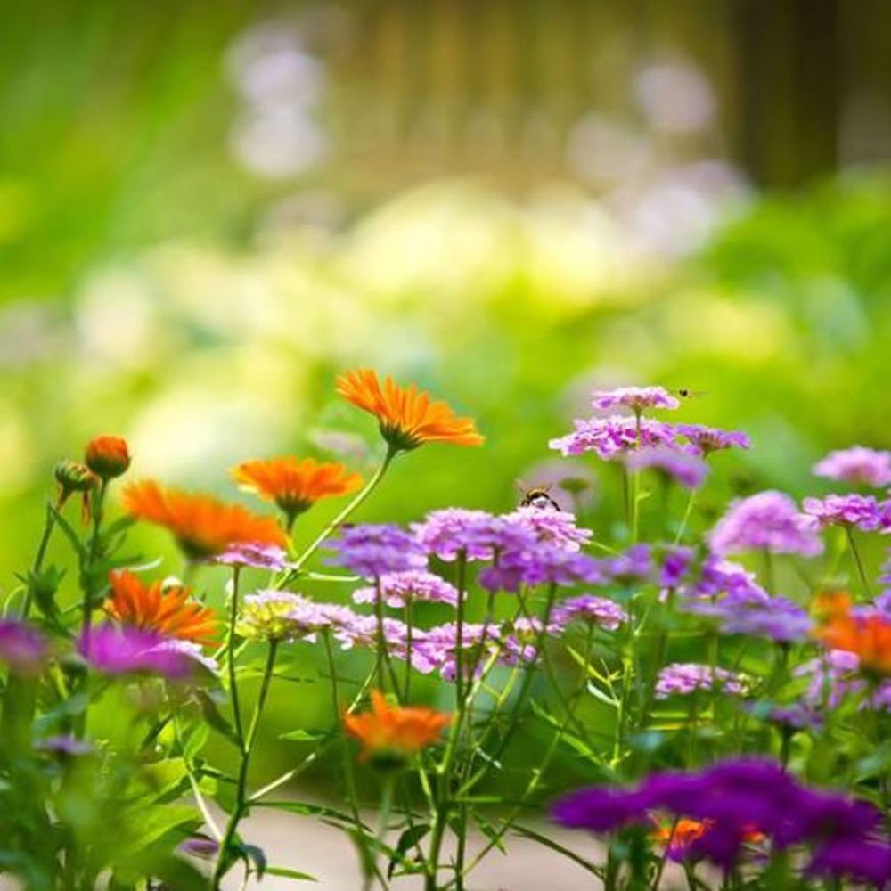 Meet your Posher, Karina