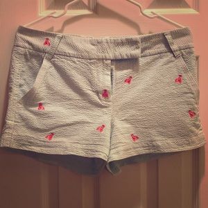 J. Crew City Fit Shorts with Red Lobster