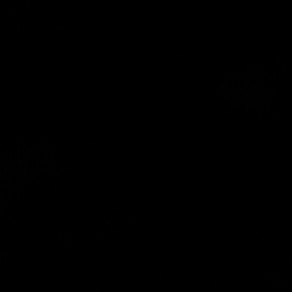 Meet your Posher, Alejandra