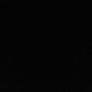 Meet your Posher, Giselle