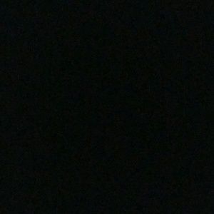 Meet your Posher, Lilly