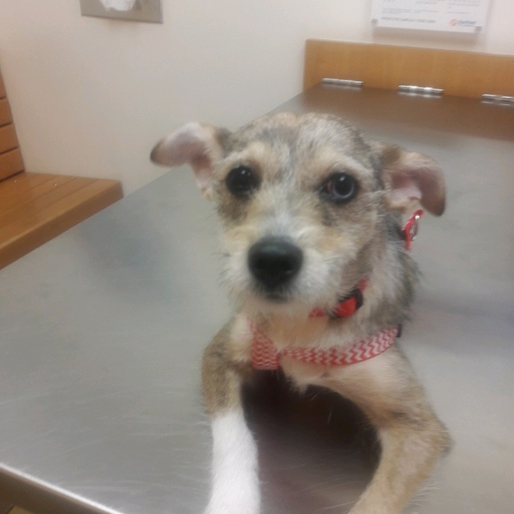 Meet your Posher, Latoya