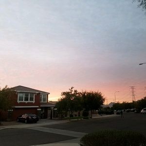 Meet your Posher, Daisy