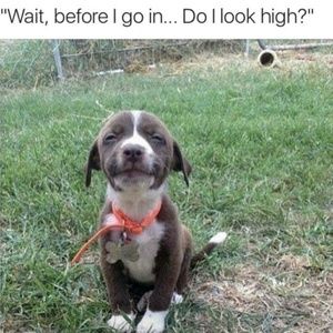 Meet your Posher, Latoya