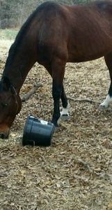 Meet your Posher, Latoya