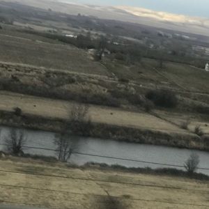 Meet your Posher, Perla