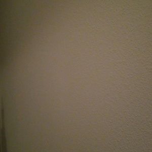 Meet your Posher, Riley