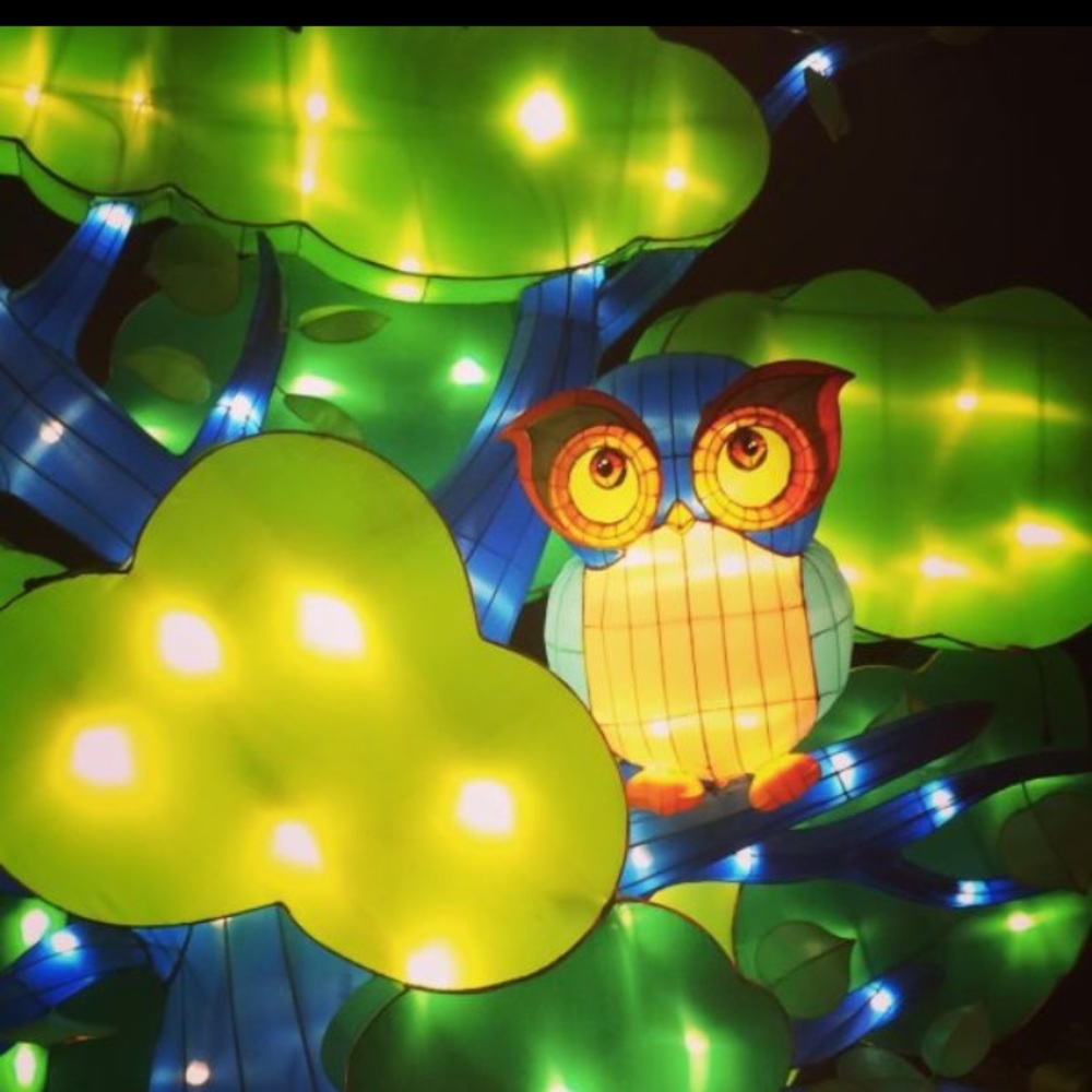 Meet your Posher, Trish