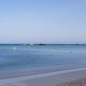 Meet your Posher, Tiana