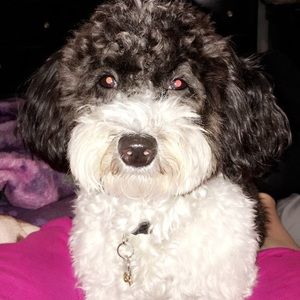 Meet your Posher, Lizeth