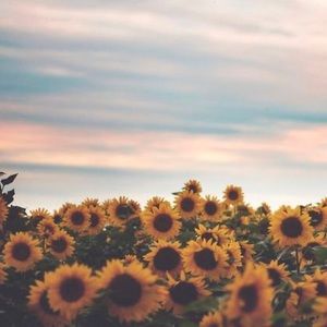 Meet your Posher, Anahi