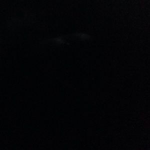 Meet your Posher, Marilynn