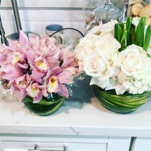 Meet your Posher, Bailey