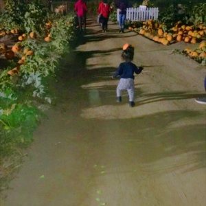 Meet your Posher, Diana