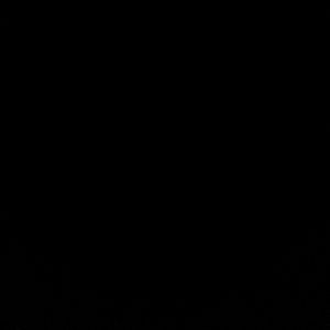 Meet your Posher, Jessee