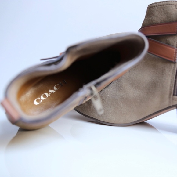 Coach ankle booties. Suede - Picture 6 of 7