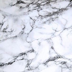 Meet your Posher, Shirley